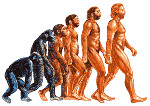 evolucyja